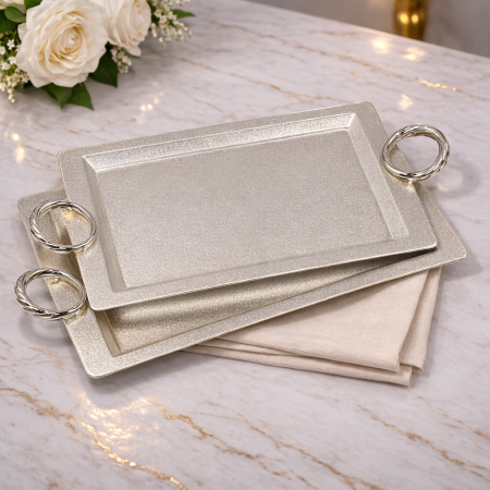 طقم صواني ستانلس ستيل 25x36cm & 30x43cm