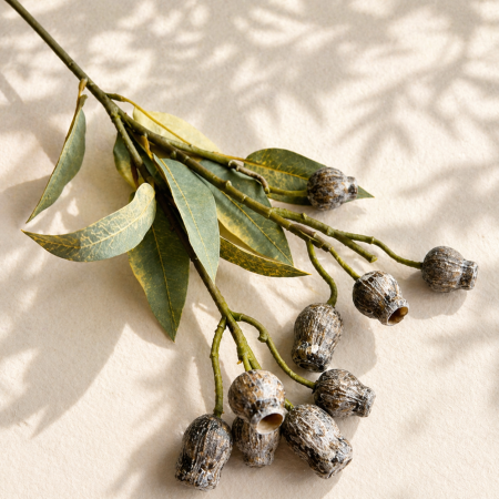 عرق ورد مميز مستوحاة من الطبيعة تضيف لمسة هدوء وأناقة