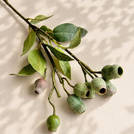 عرق ورد مميز مستوحاة من الطبيعة تضيف لمسة هدوء وأناقة