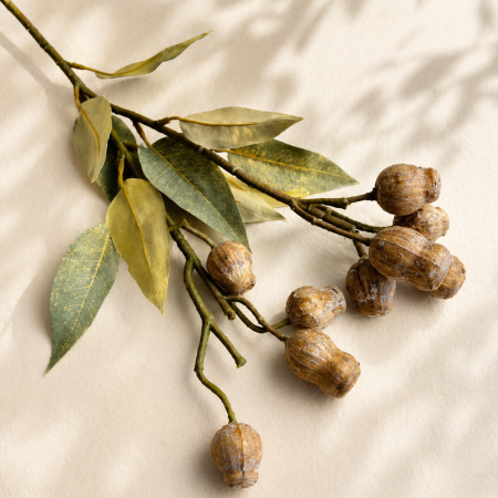 عرق ورد مميز مستوحاة من الطبيعة تضيف لمسة هدوء وأناقة